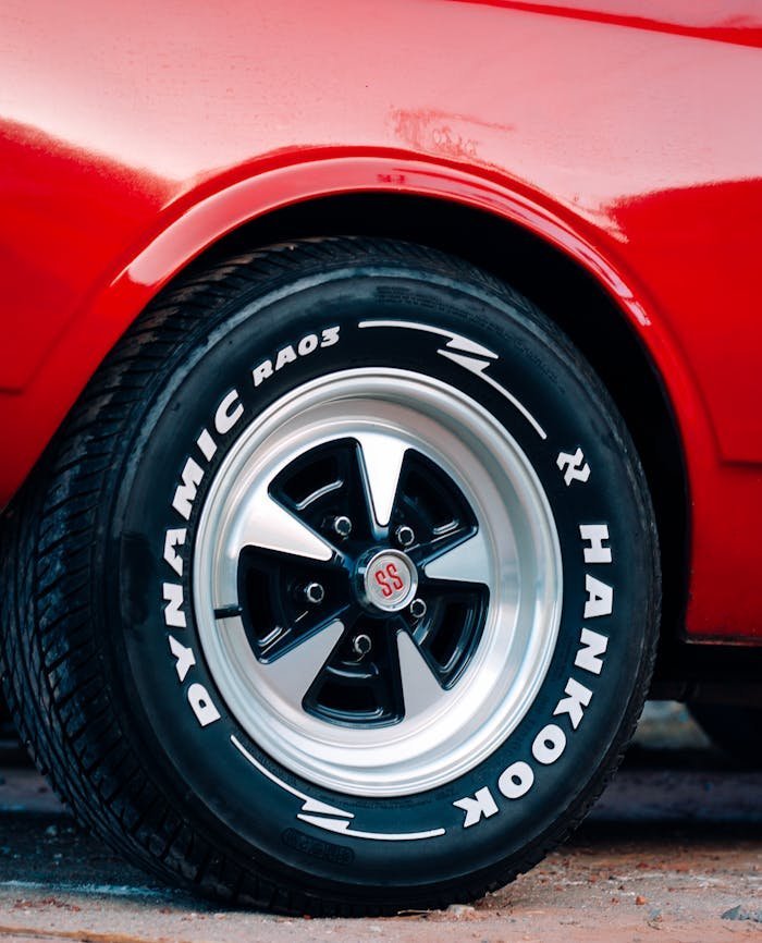 pexels photo 15354904.jpeg